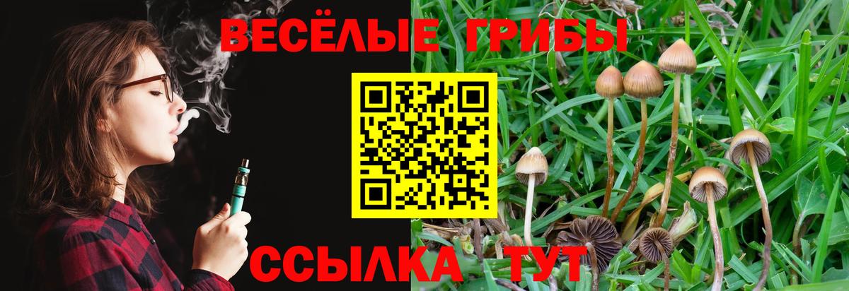 Псилоцибиновые грибы мицелий  Вход с VPN  Галлюциногенные грибы Psilocybe  Соль-Илецк 